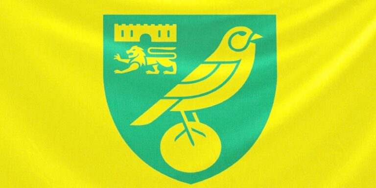 Discover the Legacy and Future of Norwich City FC