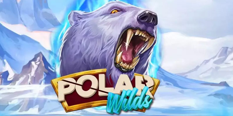 Discover Polar Wilds: A Frozen Adventure Awaits!